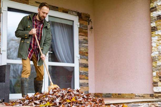 Best Basement Cleanout Services  in Urbana, IL